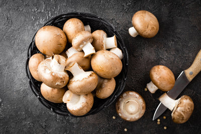 Mushrooms: not medicine