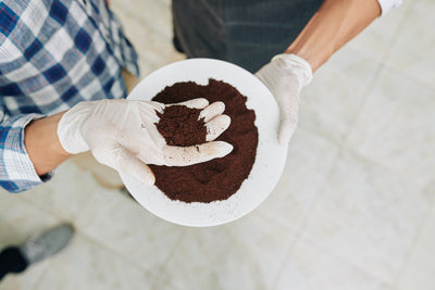 The best way of using coffee grounds before throwing them in garbage